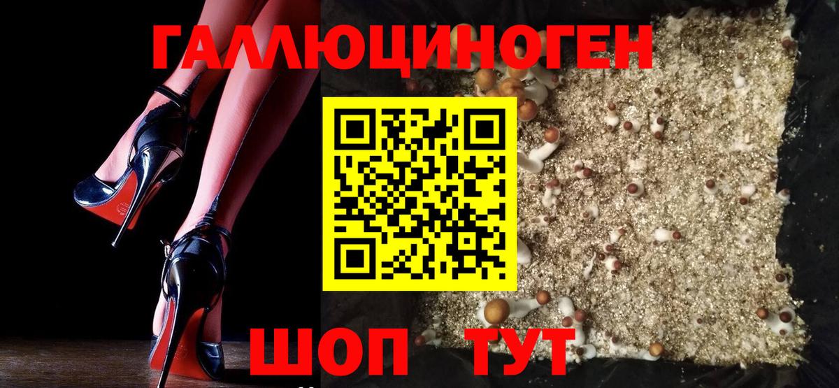 Псилоцибиновые грибы Psilocybe  Галлюциногенные грибы Psilocybe  Дедовск  Вход с VPN 